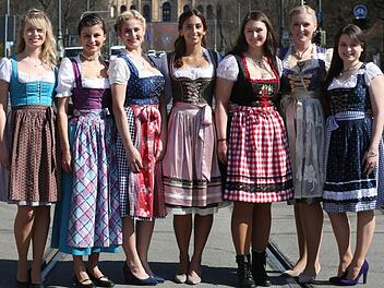 Gegen diese Konkurrentinnen muss sich die Neuenmarkterin Melanie Fraas (Dritte von rechts), die jetzt in Coburg lebt und arbeitet, durchsetzen, um Bayerns Bierkönigin zu werden. Foto: Bayerischer Brauerbund