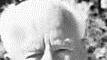 Johann Grüner †