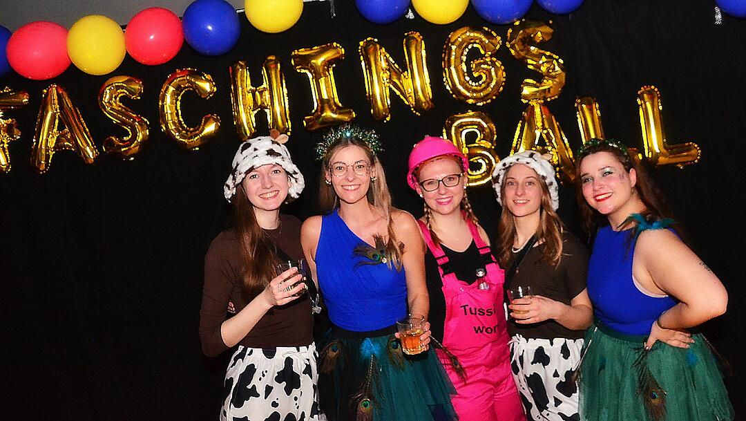 Ebermannstadt feiert Fasching!