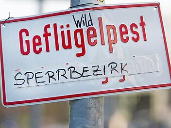 "Wild-Gefl&uuml;gelpest Sperrbezirk" stand im November 2016 in Berlin auf dem Schild an einem Laternenpfahl im Bezirk Friedrichshain. Das LGL in Erlangen hat im Jahr 2016 allein 765 Proben von verendeten Wildv&ouml;geln getestet.  Foto: Paul Zinken/dpa