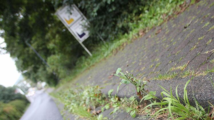 Es wuchert: Auf einem kurzen Abschnitt an der Ernst-Putz-Straße bietet sich Gästen wirklich kein ansehnlicher Anblick. Foto: Ulrike Müller