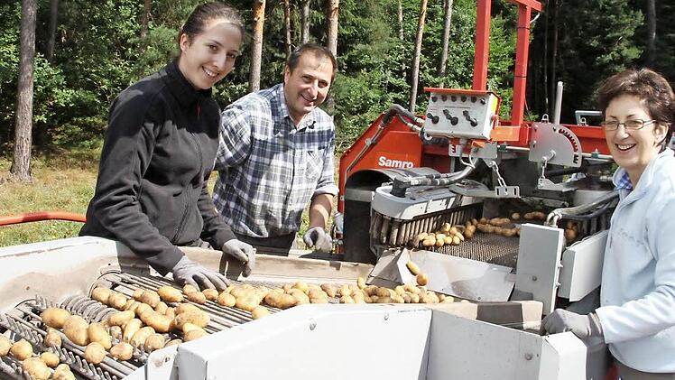 Maresa, Werner und Annette Schleicher (von links) ernten die Kartoffeln, die auf insgesamt elf Hektar gewachsen sind, mit dem Vollernter. Fotos: Julia Schilling
