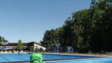 Ab Samstag muss es nicht mehr allein herumschwimmen, das lustige Gummitier im Eltmanner Freibad.