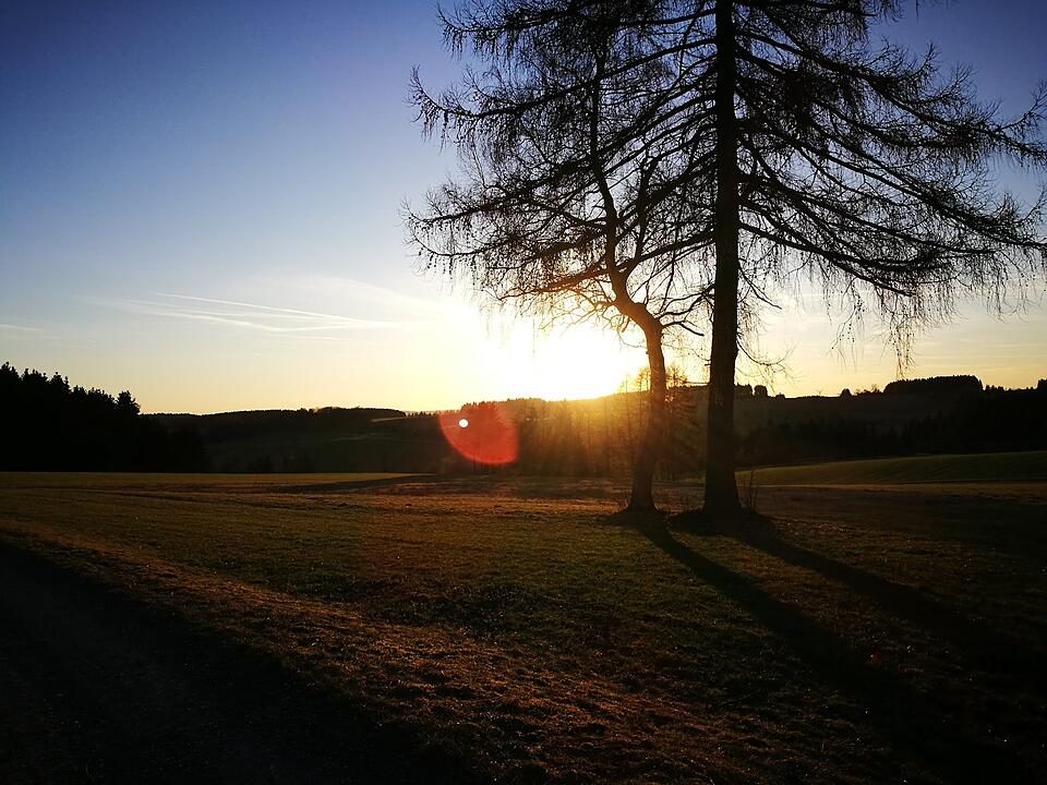 Die schönsten Herbstfotos aus Kronach und Umgebung