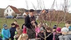 Aufmerksam verfolgen die Schüler die Anweisungen von Baumwart Hans Vetter und dürfen auch selbst Hand anlegen. Foto: K.- H. Hofmann
