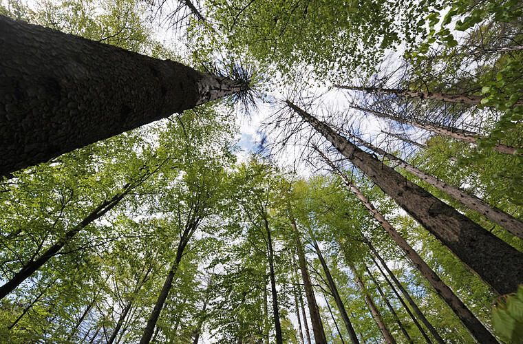 Wohin mit der Umweltstation?