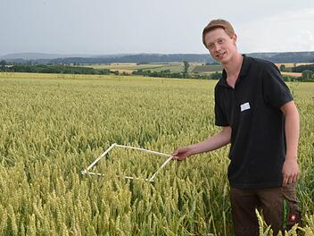 Lukas Fröba bei der Ertragsermittlung auf einem Weizenfeld. Foto: Rainer Lutz