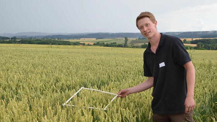 Lukas Fröba bei der Ertragsermittlung auf einem Weizenfeld. Foto: Rainer Lutz