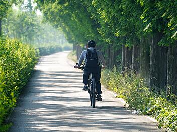 Frühjahrsputz für dein Fahrrad: