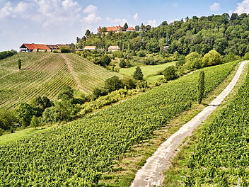 Weinberge im Steigerwald.