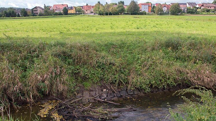 Am Seebach bei Horhausen, wo gerade erst ein Biberdamm entfernt wurde, ist der Bibel wieder aktiv geworden und hat mit dem Bau eines neuen Damms begonnen. Wie Dirk Schönmüller aus Horhausen mitteilte, würden die Horhäuser Bürger darauf aufpassen, dass dieser Damm nicht entfernt wird, bevor die rechtliche Situation nicht geklärt ist.