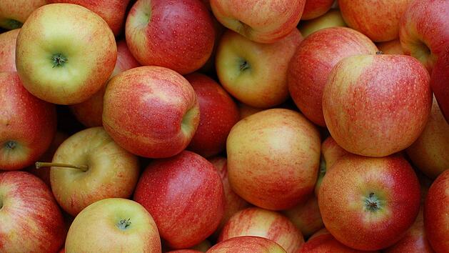 Äpfel müssen in diesem Jahr früher geerntet werden als sonst. Foto: pixabay/cbaquiran