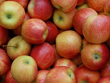Äpfel müssen in diesem Jahr früher geerntet werden als sonst. Foto: pixabay/cbaquiran
