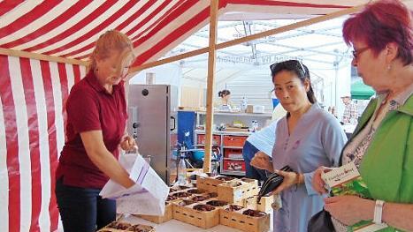 Kirschen zum Mitnehmen