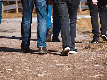Bamberg startet neues Angebot: "Walk & Talk"-Treff zum Kontakte knüpfen