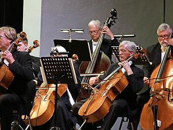 Mitglieder des Kulmbacher Kammerorchesters Foto: Archiv/Katharina Müller-Sanke