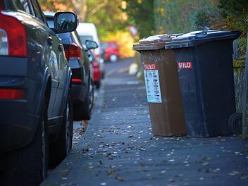 Im Preis inbegriffen ist bei der Kissinger Müllabfuhr nicht nur die Restmülltonne, sondern auch die Biotonne und die Blaue Tonne.  Foto: S. Farkas