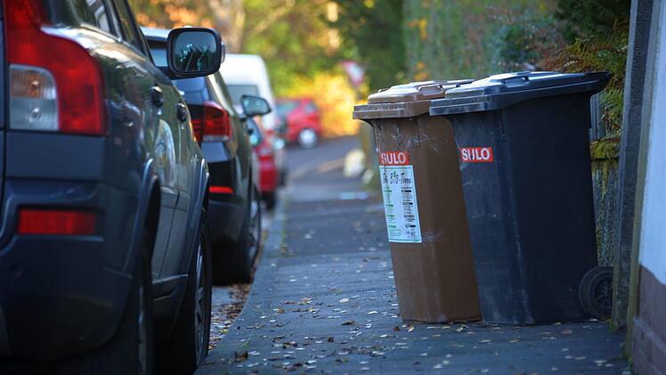 Im Preis inbegriffen ist bei der Kissinger Müllabfuhr nicht nur die Restmülltonne, sondern auch die Biotonne und die Blaue Tonne.  Foto: S. Farkas