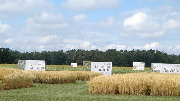 Foto: Richard Sänger