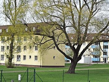 Frühlingserwachen auf dem Gelände der Aufnahmeeinrichtung Oberfranken. Doch das friedliche Bild ist nur die eine Seite: Das Flüchtlingszentrum hat Bamberg einen kräftigen Anstieg der Kriminalität beschert.  Foto: Ronald Rinklef