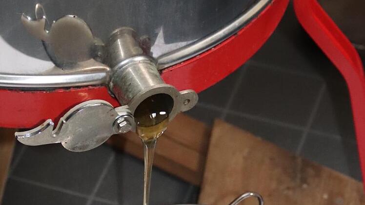 Endlich fließt der Honig.  Foto: Johanna Blum