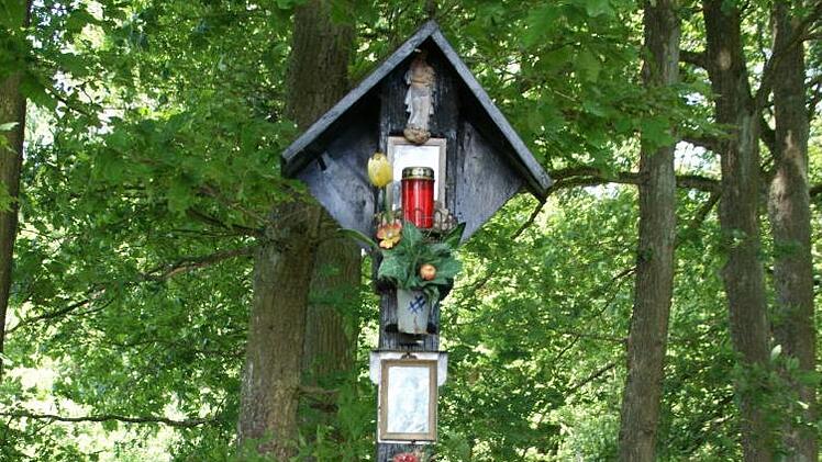 Ein ungelöstes Rätsel ist dieses Holzkreuz im Wald zwischen Trossenfurt und Eltmann, das auf einen "Babymord Anno 1900" hinweist.