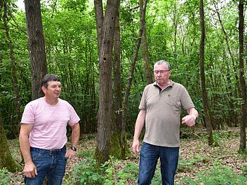 Klaus Dörnbrack (rechts) an der Stelle im Wald bei Burgebrach, an der  sein Freund Karl-Heinz Schwarm von  einem Hornissenschwarm angegriffen worden war. Foto: Ronald Rinklef