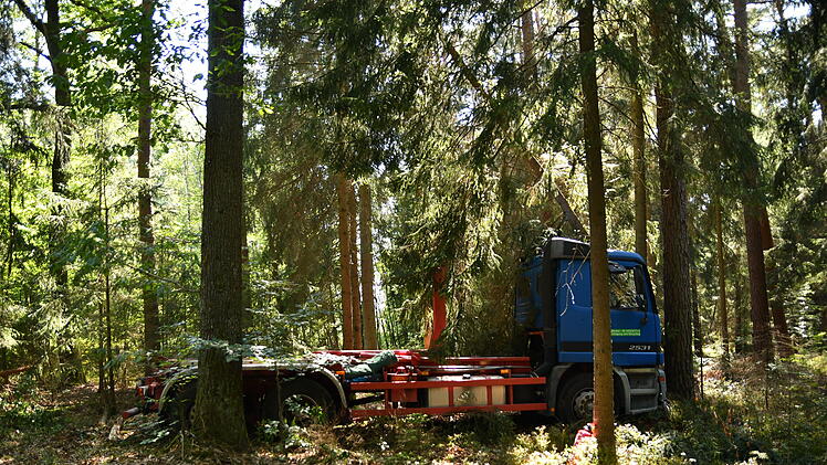 Mann fällt aus Fahrerkabine: Lastwagen fährt führerlos in Waldstück