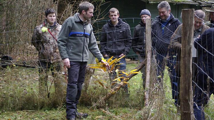 Förster Michael Sautter (l.) ermunterte beim Waldbegang auch außergewöhnliche Baumarten beim geplanten Baumlehrpfad am Deisselbach einzubringen.  Foto: Winfried Ehling