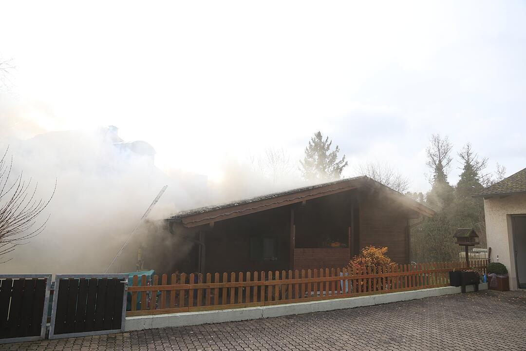 Oberfranken: Gartenhaus geht in Flammen auf - drei Welpen und eine Katze sterben