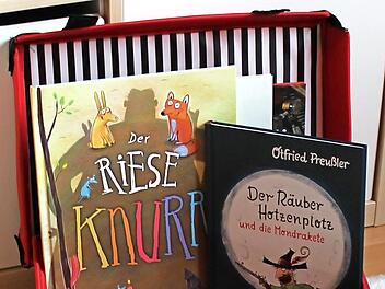 Der Lesekoffer  Foto: Landratsamt