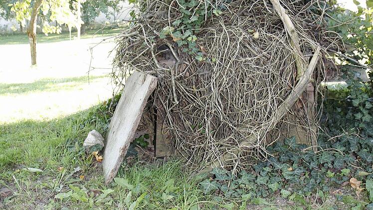 Im Garten hat Marion Damm einen Unterschlupf für die Igel gebaut. Foto: Melina-Maria Münchow