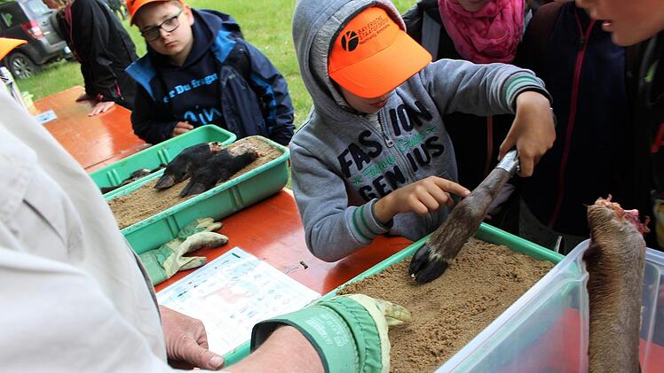 Die Kinder beim Ausprobieren der Trittsiegel.