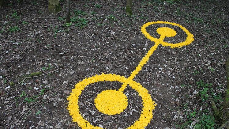 Leuchtdiode, 290 x Ø 130 cm, Blüten vom Japanischen Kerrie (Ranunkelstrauch)