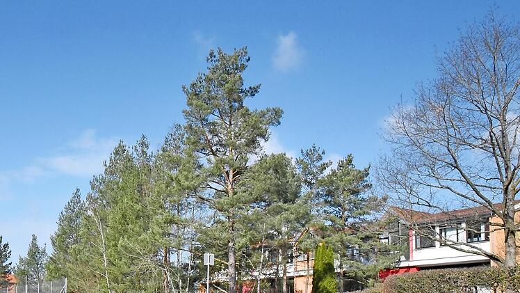 Die Grundschule Heroldsbach: Auf dem Schulgelände wünschen sich die Jungen Bürger einen Jugendtreff, der allerdings von vielen Gemeinderäten als nicht geeignet angesehen wird.