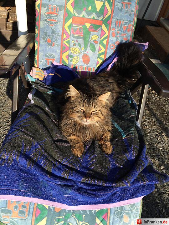 Foto: Samira Jeschek