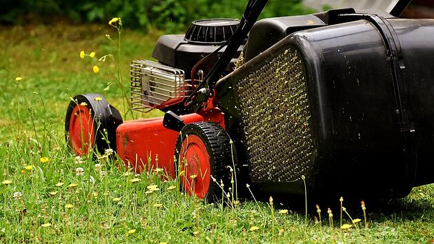 Warum der Geruch von frisch gem&auml;htem Rasen eigentlich ein Alarmsignal ist