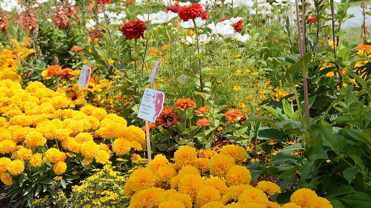 Impressionen von der Landesgartenschau in Bayreuth Foto: Dagmar Besand