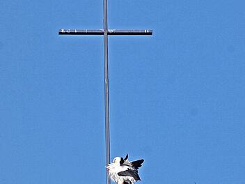 Auf dem Turm der evangelischen Kirche in Herzogenaurach ist ein Storchenpaar. Doch mit dem Nachwuchs scheint es an dieser Stelle nicht zu klappen. Foto: Heinz Czellnik