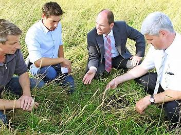 Bernhard Otzelberger Torsten Gunselmann, Michael Hofmann und Hermann Greif (v. l.) begutachteten die Schäden auf der Wiese. Sie ist voller Dreck, das Gras ist unten gefault und mit Pilzen befallen, als Tierfutter nicht mehr zu verwenden. Foto: Mathias Erlwein