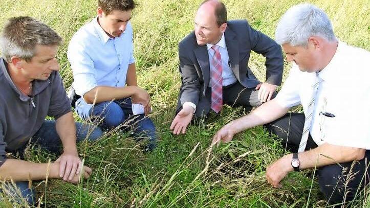 Bernhard Otzelberger Torsten Gunselmann, Michael Hofmann und Hermann Greif (v. l.) begutachteten die Schäden auf der Wiese. Sie ist voller Dreck, das Gras ist unten gefault und mit Pilzen befallen, als Tierfutter nicht mehr zu verwenden. Foto: Mathias Erlwein
