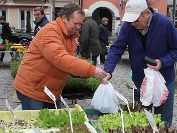 Ein Marktbummel macht auch Männern Spaß: Herbert Popp (rechts) kauft beim Bamberger Gärtner Horst Raab den ersten Frühlingssalat für sein Frühbeet. Foto: Sonja Adam