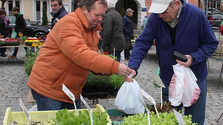 Ein Marktbummel macht auch Männern Spaß: Herbert Popp (rechts) kauft beim Bamberger Gärtner Horst Raab den ersten Frühlingssalat für sein Frühbeet. Foto: Sonja Adam