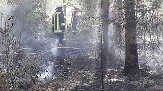 Waldbrand im Kreis Haßberge: Feuerwehr kämpft mit Großaufgebot gegen die Flammen
