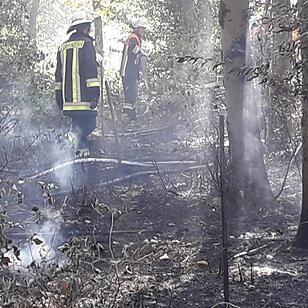 Waldbrand im Kreis Haßberge: Feuerwehr kämpft mit Großaufgebot gegen die Flammen