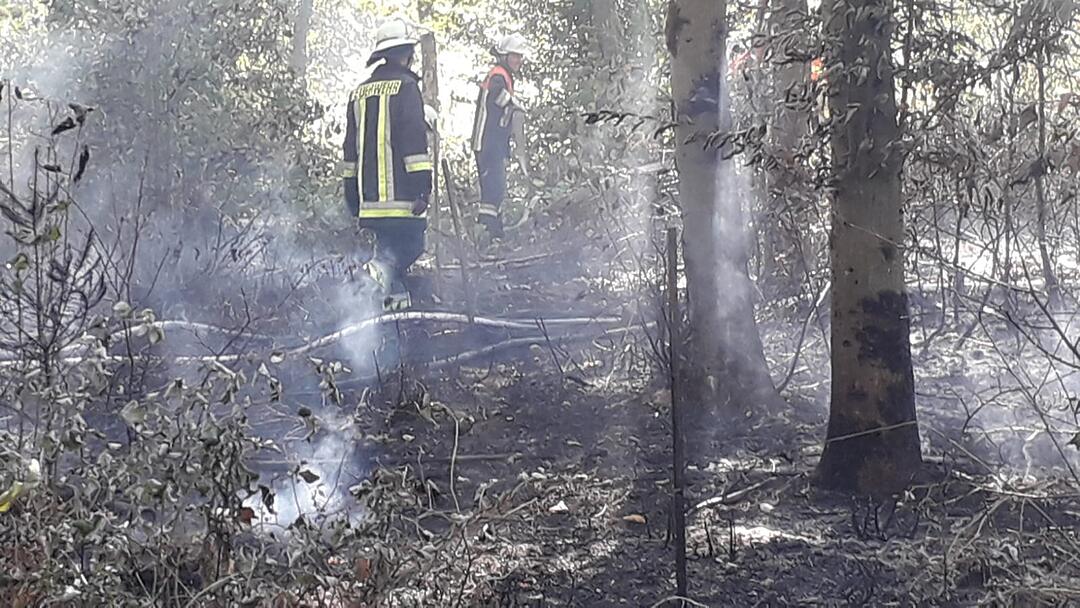 Waldbrand im Kreis Haßberge: Feuerwehr kämpft mit Großaufgebot gegen die Flammen