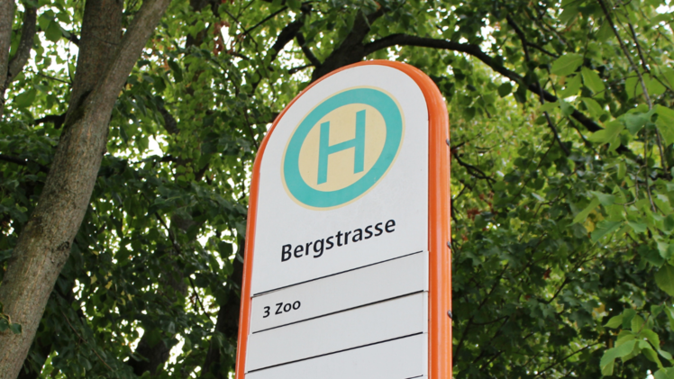 Hof: Wegen Schlappentag-Festumzug - Busse k&ouml;nnen einige Haltestellen nicht anfahren