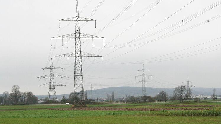 Mehr Emissionen bei höherer Spannung? Die Stadt Hallstadt will die Risiken gutachtlich prüfen lassen. Foto: Barbara Herbst