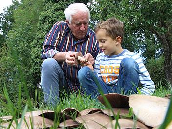 Hans Krautblatter zeigt seinem siebenjährigen Enkel Paul den seltenen Perlhuhnegerling, der in seinem Garten gedeiht. Essen sollte man den Pilz allerdings nicht.  Fotos: Christian Bauriedel