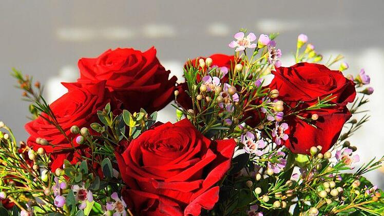 Es war ein romantischer Plan. Doch mit seiner Umsetzung sorgte ein Bauarbeiter in N&uuml;rnberg f&uuml;r Aufregung. Symbolbild: mylene2401/pixabay